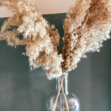 Milea Mansion 레메소스