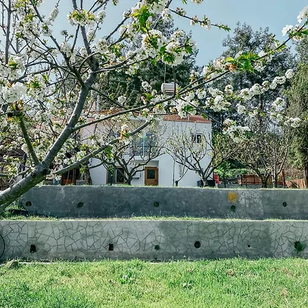 Milea Mansion Limassol